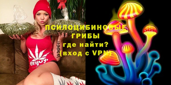 хмурый Краснослободск